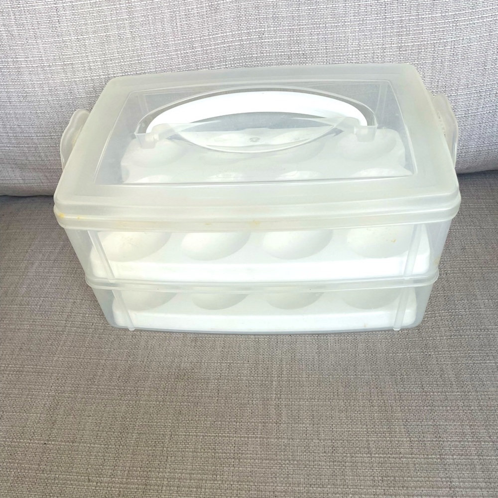 Snapware Egg Carrier